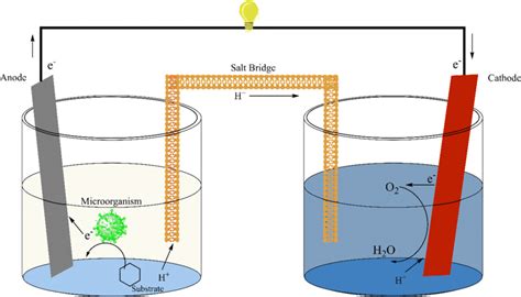 Schematic diagram of salt bridge MFC [15] | Download Scientific Diagram