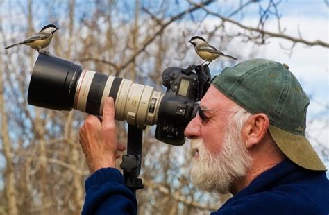 A concentrated ornithologist - Pixdaus