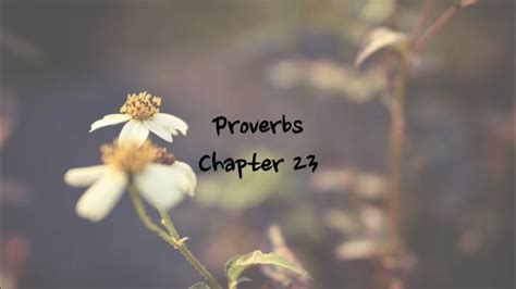 Proverbs 23 - NIV | AUDIO BIBLE & TEXT - YouTube