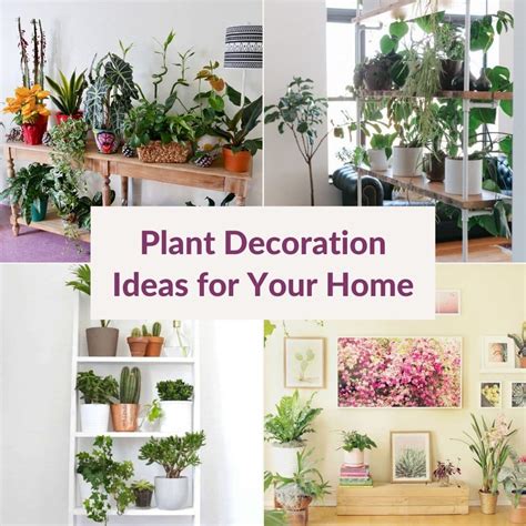 PLANT DECORATION IDEAS FOR YOUR HOME | 3SBLOG