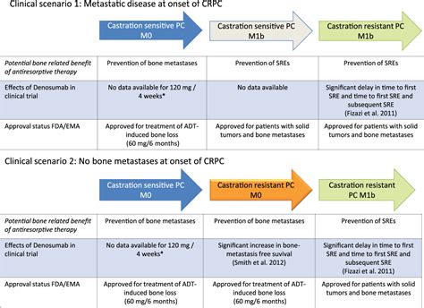 Denosumab treatment in the management of patients with advanced prostate cancer: clinical ...