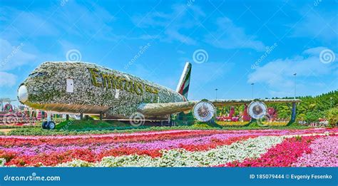 Panorama of Miracle Garden with Emirates A380 Plane, Dubai, UAE ...