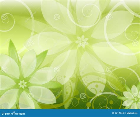 Light Green Floral Background Stock Images - Image: 6712744