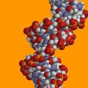 Genetic diversity - Coastal Wiki