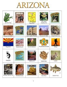 Arizona: State Symbols and Sites by Sue Ann Kline | TpT