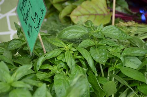 Seattle Farmers Market | Farmers Market near Pike & Pine in … | Flickr