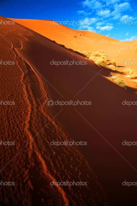 Sahara Desert landscape Stock Photo by ©rechitansorin 25888583