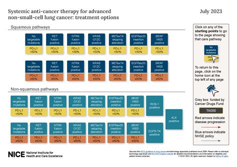 Overview | Lung cancer: diagnosis and management | Guidance | NICE