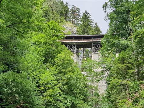 10 reasons to visit Alpbach in Summer