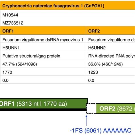 Best matches of BLASTp searches (UniProt) and schematic genome ...