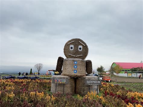 Shikisai-no-Oka: Hokkaido Panoramic Flower Garden - FoodyFans