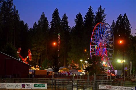 Random Images from a Nightowl: 2011 Nevada County Fair Bull Riding