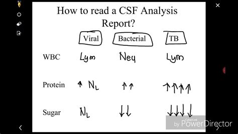 How to read CSF analysis report? - YouTube