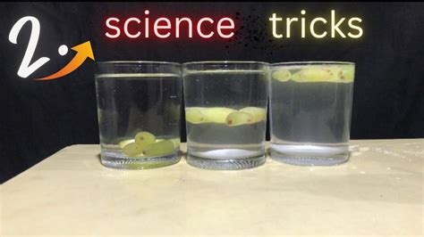 2 Amazing Water Tricks/2 minute science Experiment/EXCITED EXPERIMENT ...