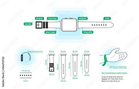 Apple watch bands size guide. Smart clock band dimensions. Wrist measure chart in mm. Smartwatch ...