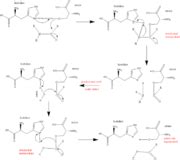 Trypsin - Proteopedia, life in 3D