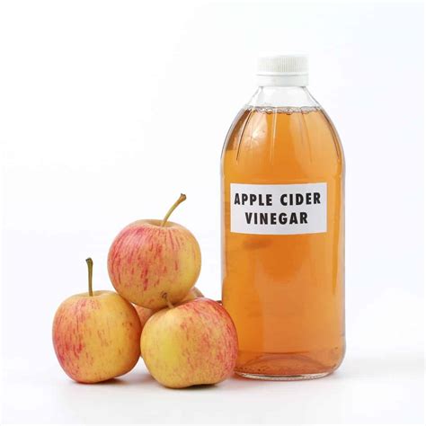 13 Benefits of Apple Cider Vinegar for Dogs - House that Barks