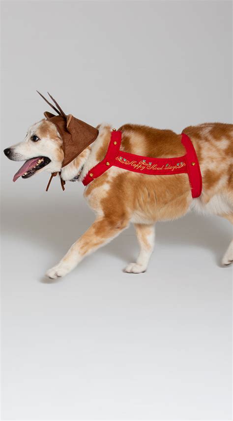 Reindeer Dog Costume, Reindeer Harness Dog Costume - Yandy.com