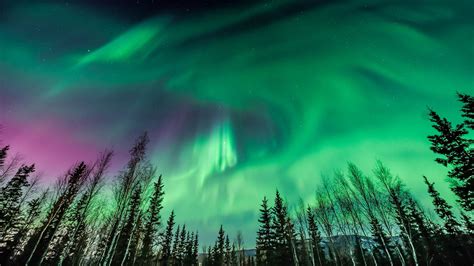 The Wonder of the Northern Lights | Nature of Things