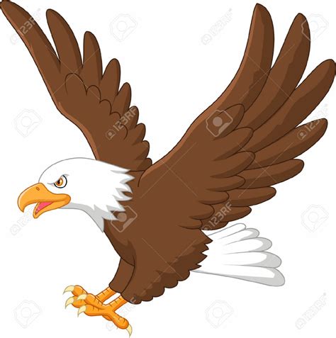 Download High Quality hawk clipart Transparent PNG Images - Art Prim ...