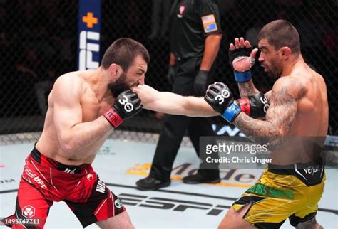 178 Abubakar Nurmagomedov Photos & High Res Pictures - Getty Images