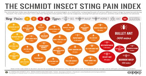 The Schmidt Sting Pain Index is a pain scale rating the relative pain caused by different ...