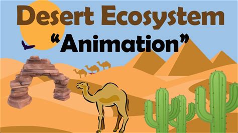 DESERT ECOSYSTEM | Biology Animation - YouTube