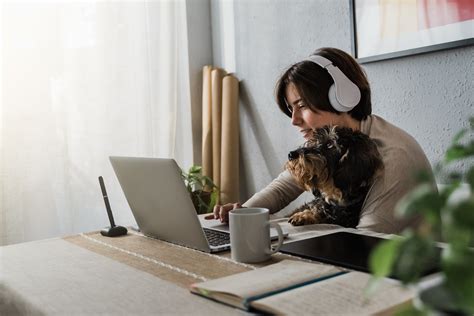 How to Keep Your Pet Happy While You're at Work – Petsior