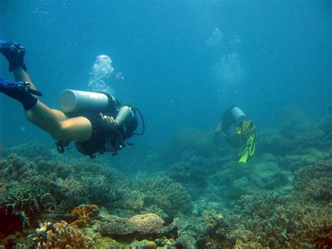 Free Stock image of Two people scuba diving | ScienceStockPhotos.com