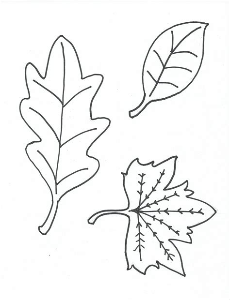 Coloring Pages Of Leaves Free Printables On This Page, You Will Find 20 Cozy Fall Leaf Coloring ...