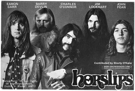 Horslips | Irish band, Band posters, Irish rock