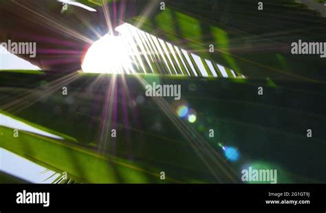 Hand reaching sun Stock Videos & Footage - HD and 4K Video Clips - Alamy