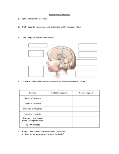 Homeostasis revision worksheet year 9 science