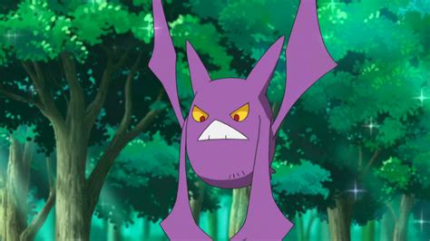 Archivo:EP985 Crobat de Brock.png - WikiDex, la enciclopedia Pokémon