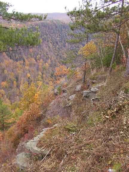 Pa Grand Canyon Fall Foliage / virginir.com - Visit Potter-Tioga State ...