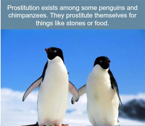 21 Crazy Animal Facts That Prove You Learn Something New Everyday | Wtf ...