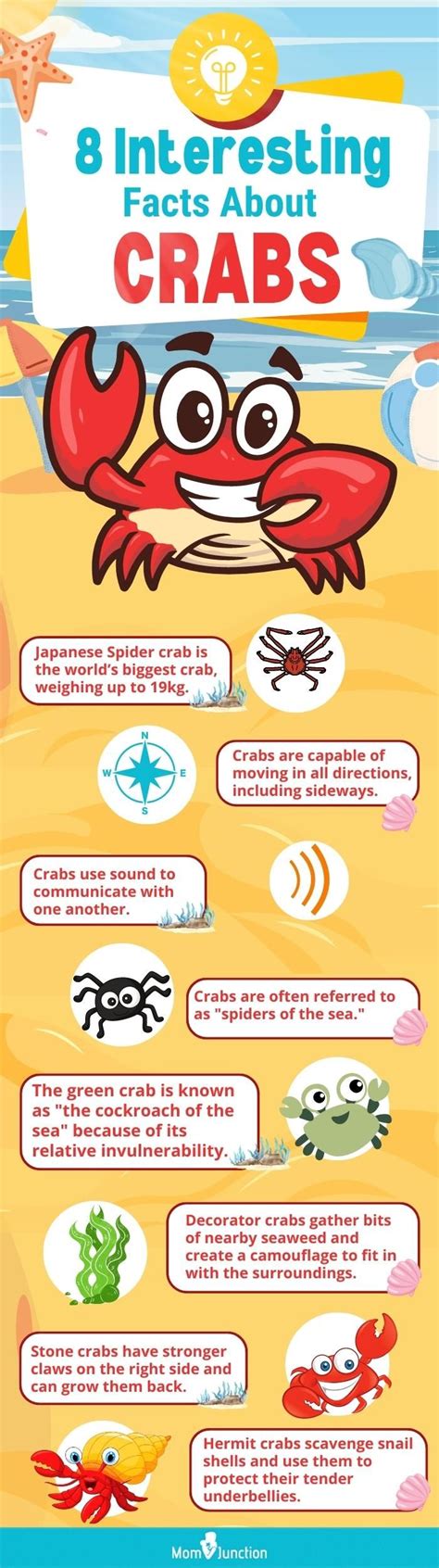 24 Fun Facts And Information About Crab For Kids | Facts for kids, Fun facts, Fun facts for kids