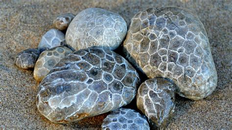 some rocks are laying on the sand and there is no image here to provide a caption for