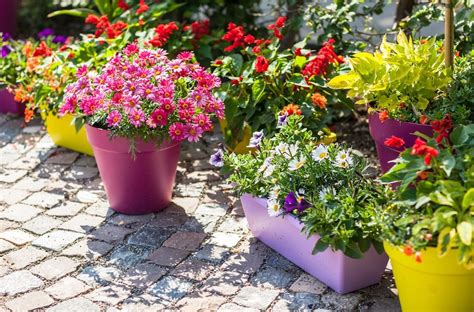 Container Gardening