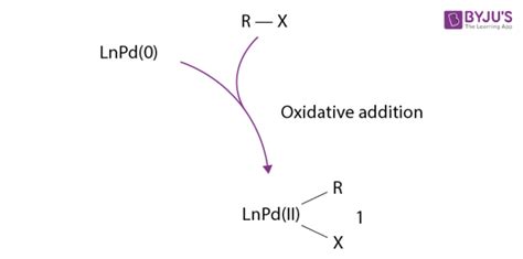 Suzuki Coupling Reaction - Definition, Details and Mechanism with Examples