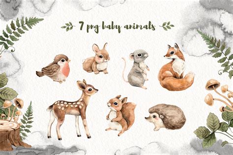 Watercolor Forest Little Animals set | Forest animals illustration ...