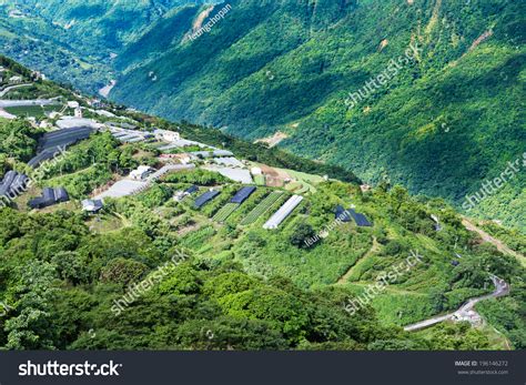 Cingjing Farm Taiwan Stock Photo (Edit Now) 196146272