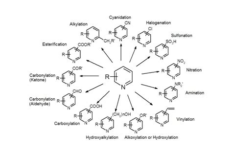 13 Surprising Facts About Organic Synthesis - Facts.net