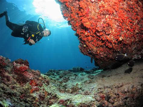 Banda Islands Diving Guide