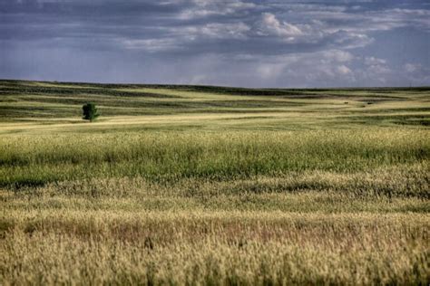 Discover the High Plains of Colorado