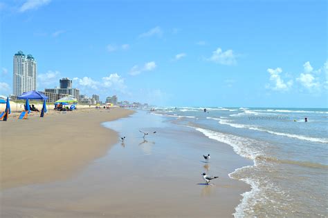 South Padre Island Sights You Don't Want to Miss - Your Sassy Self