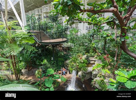 Tennessee, Nashville, Gaylord Opryland Resort Hotel, Garden Stock Photo ...