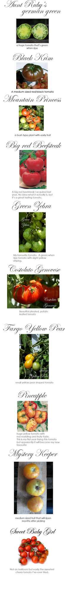 Tomato Seedlings. 10 varieties to try. - The Art of Doing Stuff