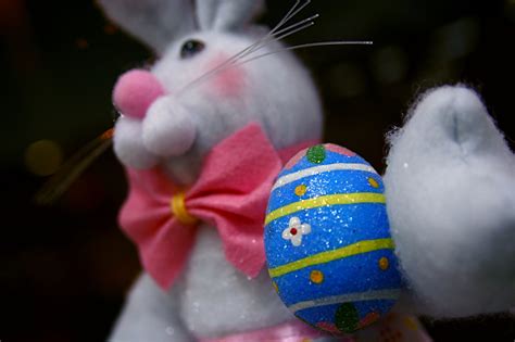 File:Easter Bunny Egg 4-14-09 IMG 2445.jpg - Wikimedia Commons