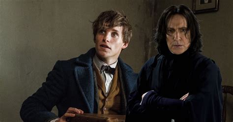 Is Newt Scamander the Snape of His Time in 'Fantastic Beasts'?